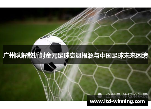 广州队解散折射金元足球衰退根源与中国足球未来困境